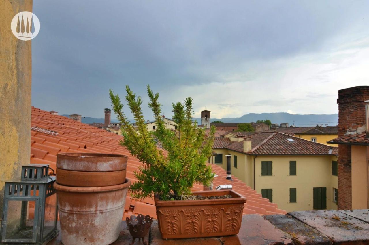 卢卡La Terrazza Di Sofia公寓 外观 照片
