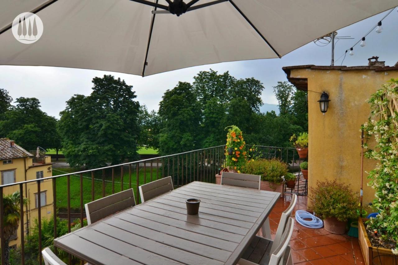 卢卡La Terrazza Di Sofia公寓 外观 照片