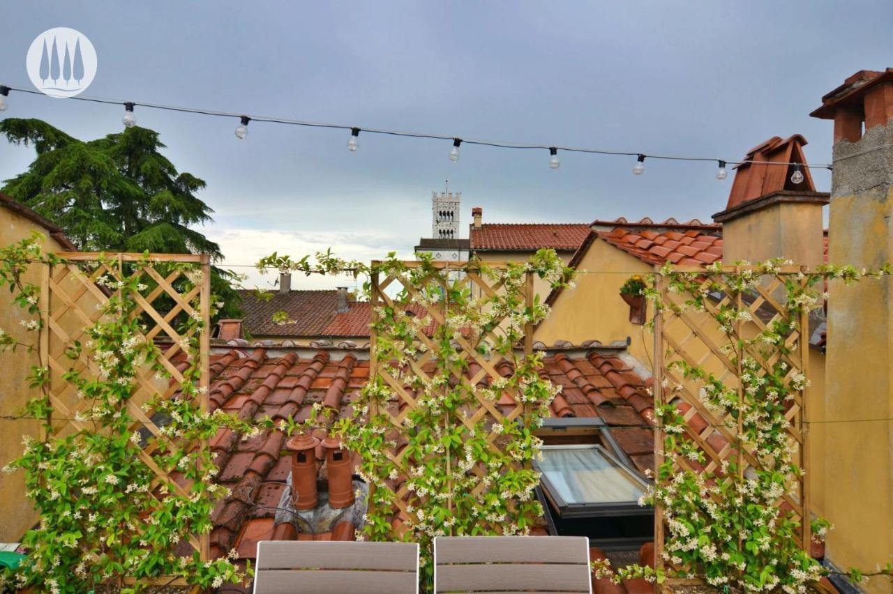 卢卡La Terrazza Di Sofia公寓 外观 照片